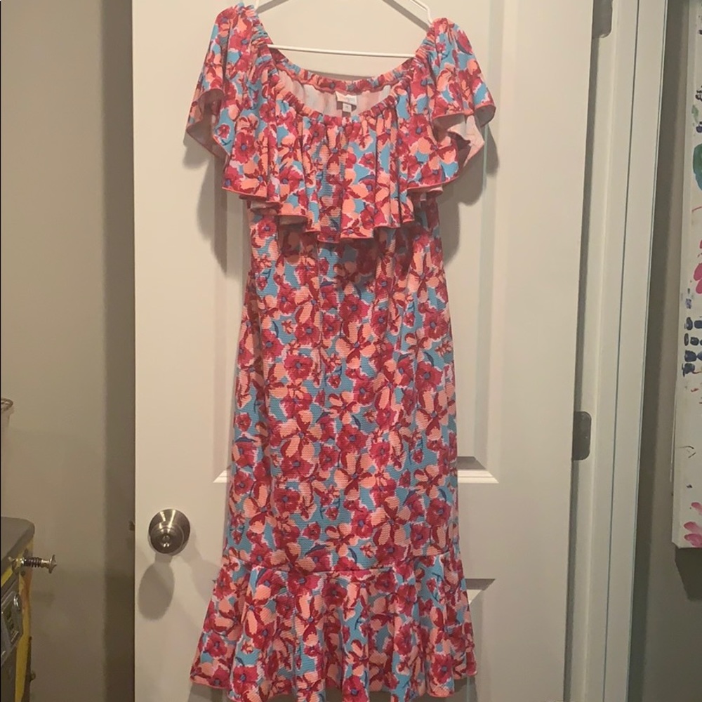 GORGEOUS LulaRoe Floral Cici XL
